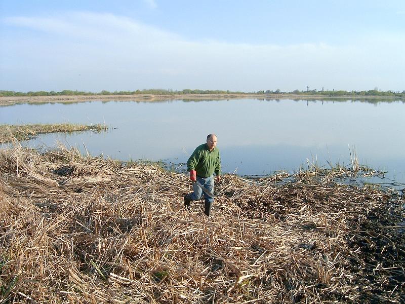 20110413 008.jpg